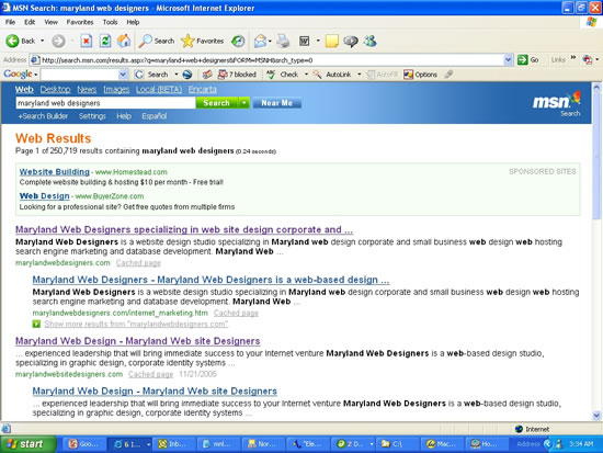 maryland_web_designers_seo_msn