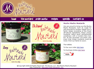 website_design_in_maryland